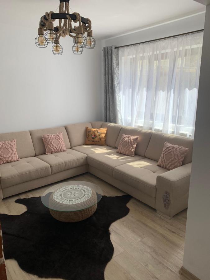 Pensiunea Simi Moisei Exteriér fotografie