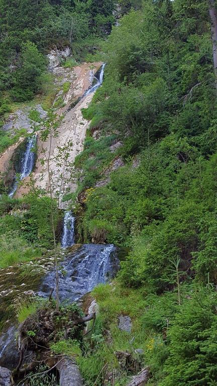 Pensiunea Simi Moisei Exteriér fotografie
