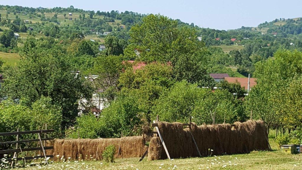 Pensiunea Simi Moisei Exteriér fotografie